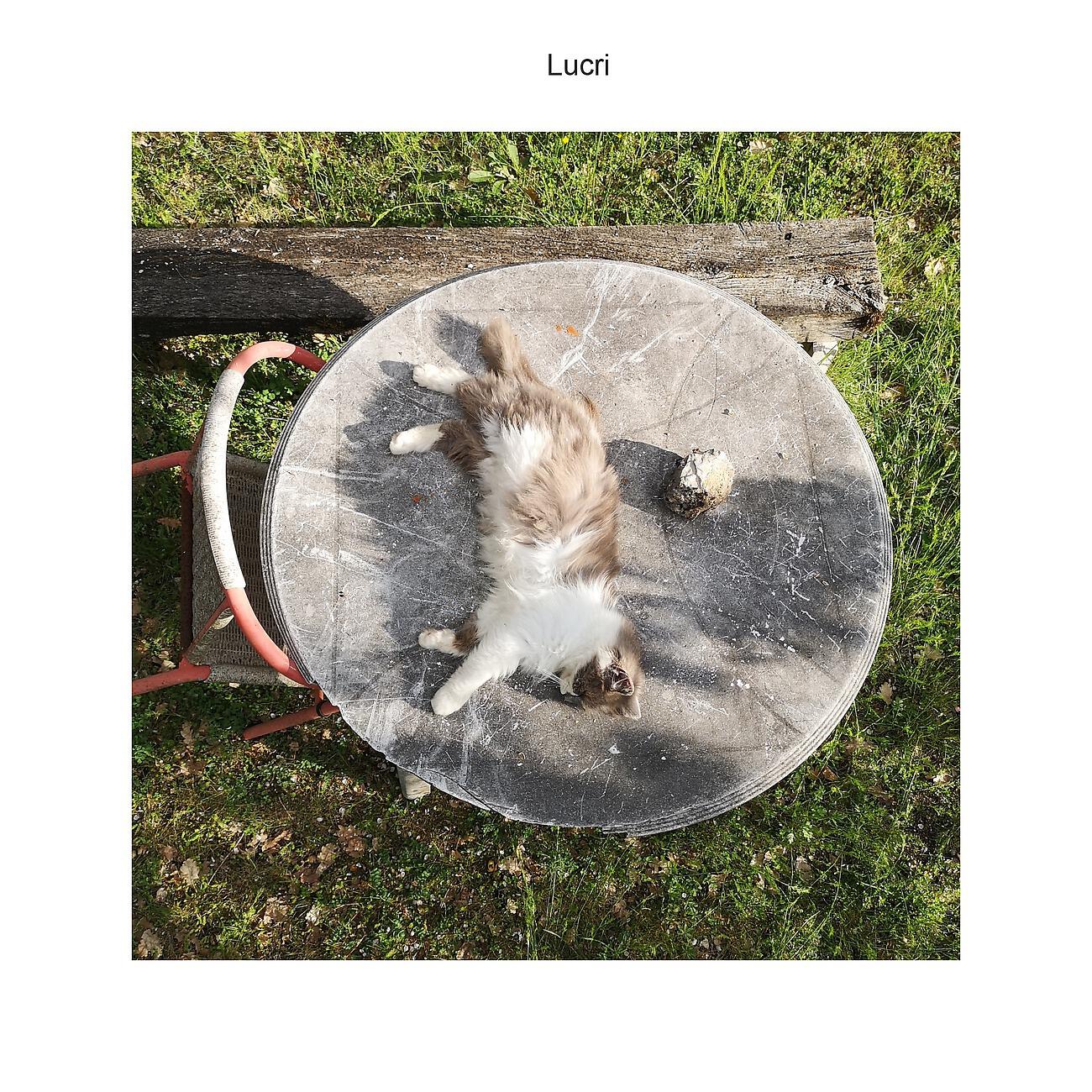 Релиз Lucri