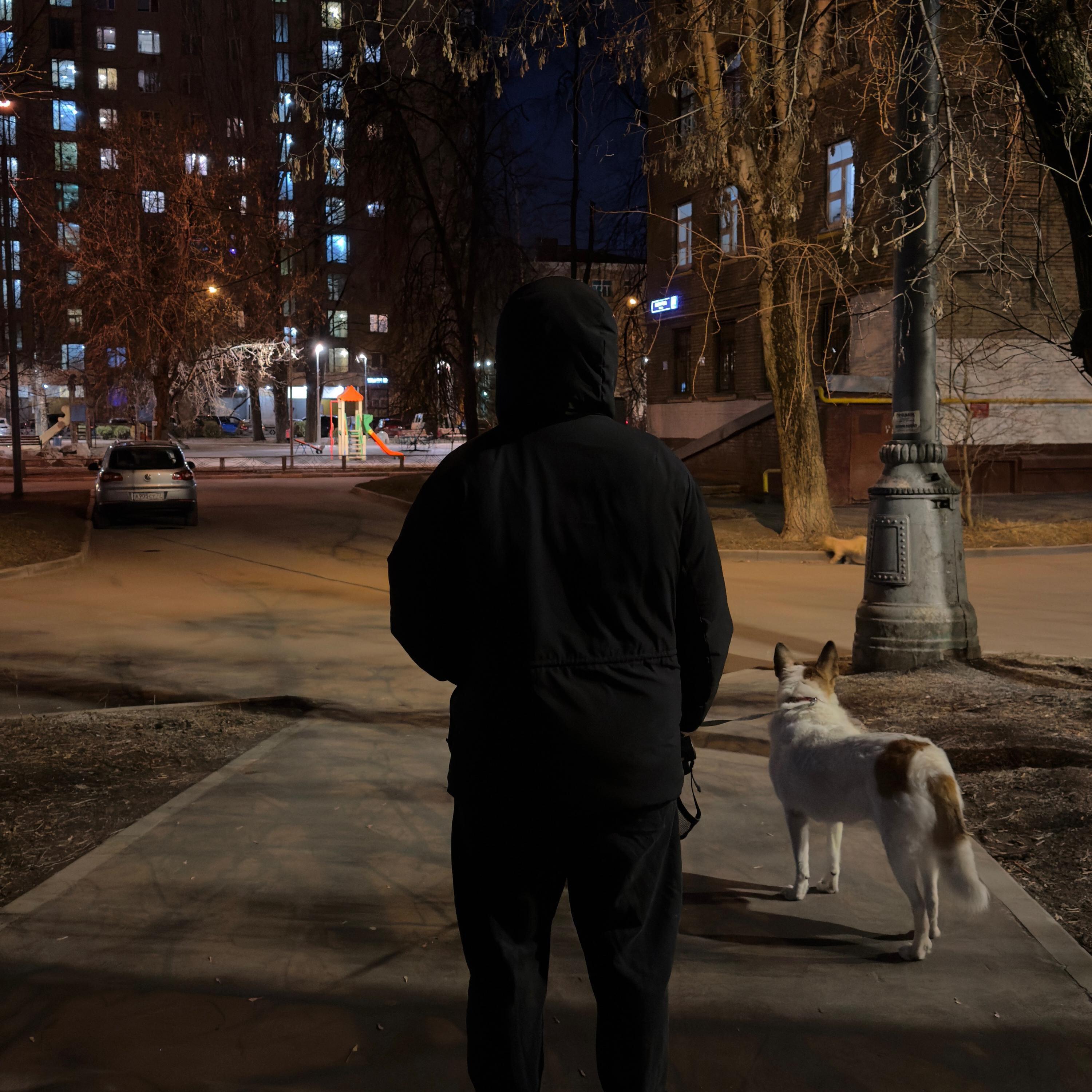 Релиз Моя реальность