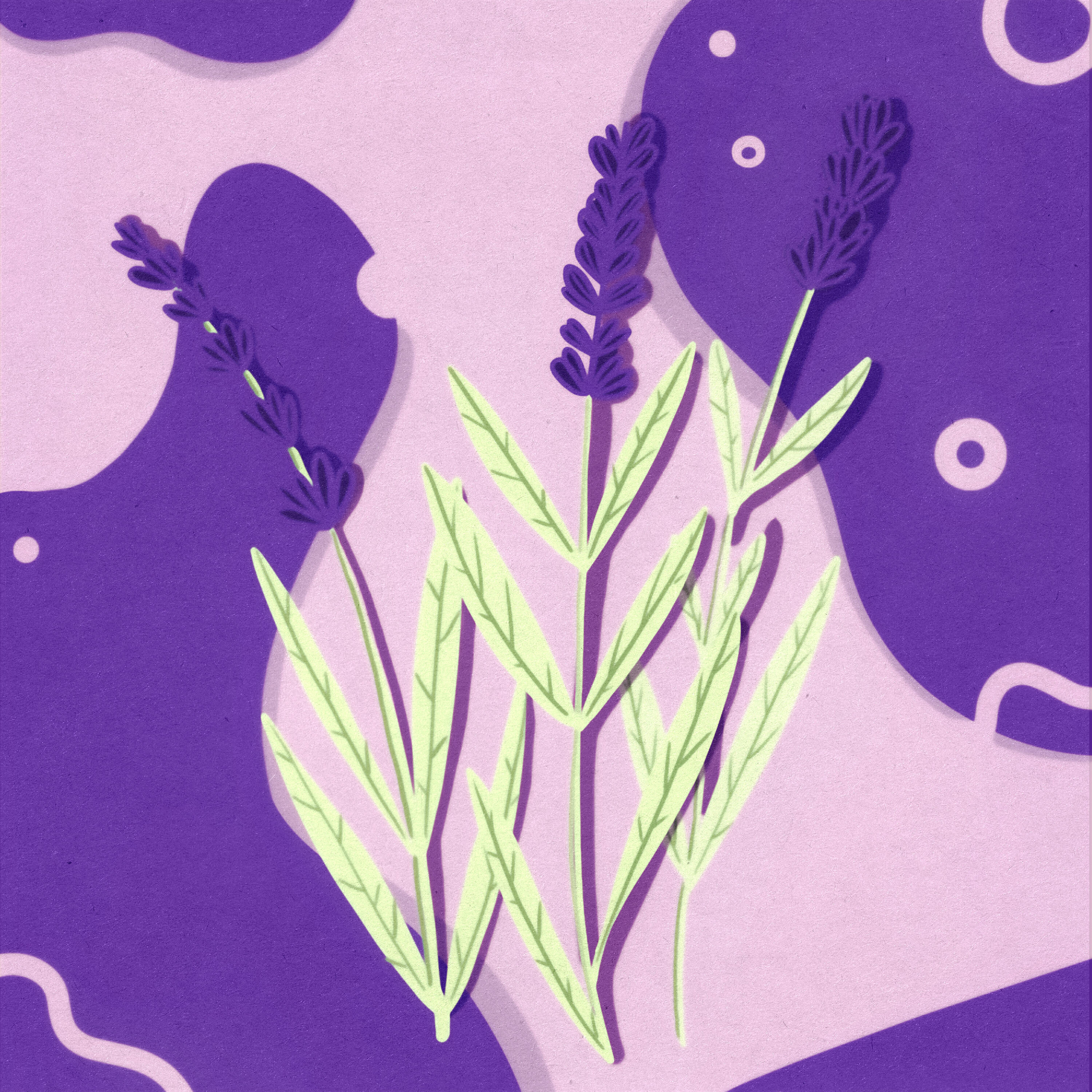Релиз Lavender