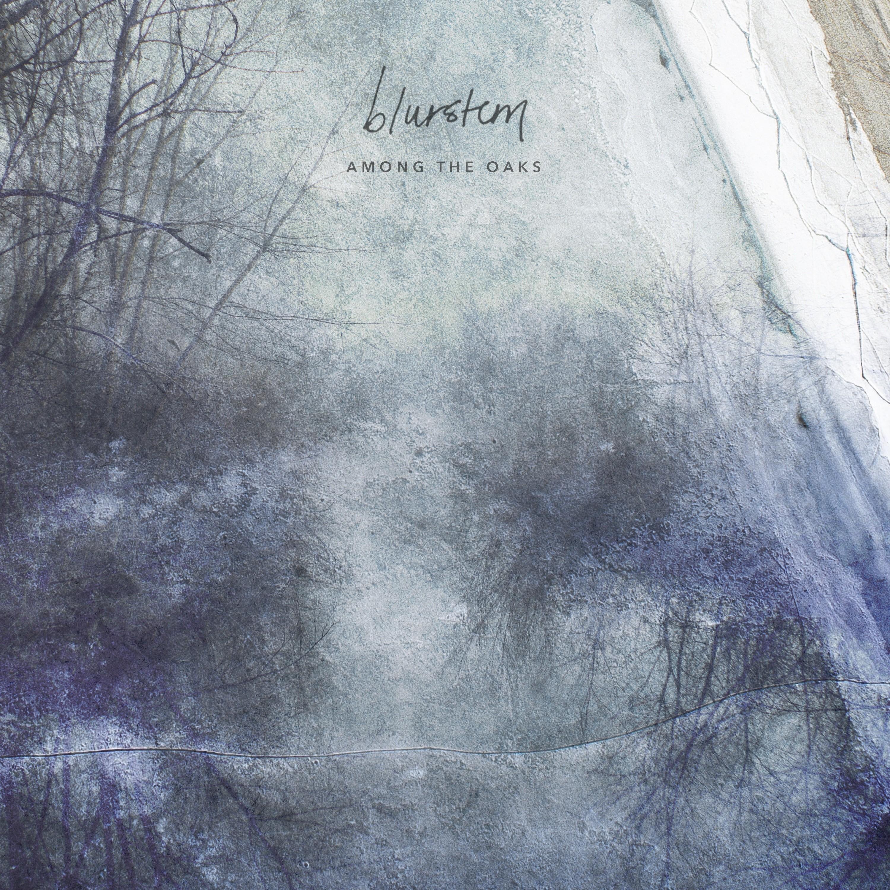 Релиз Among the Oaks