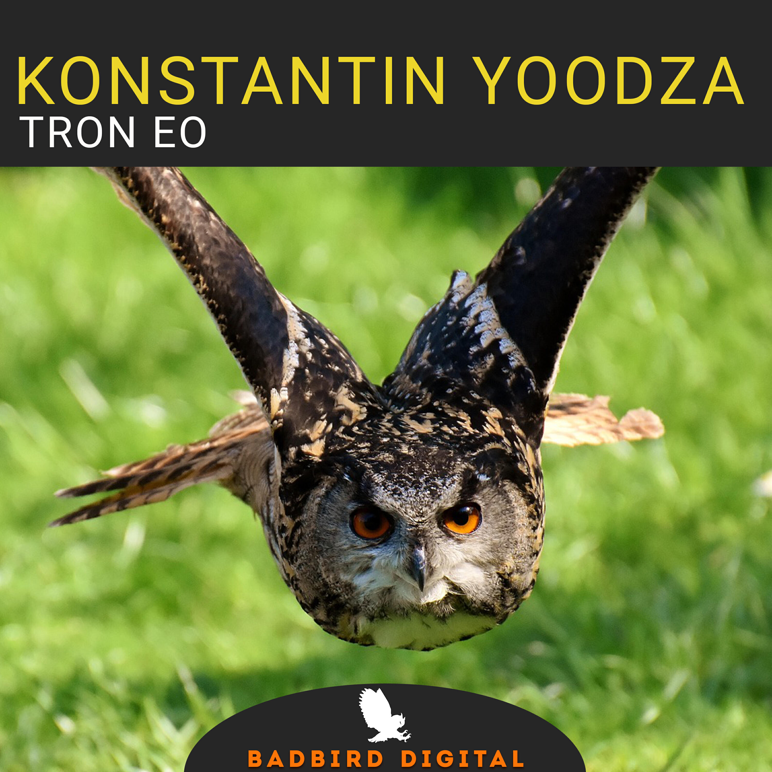 Релиз Tron EO