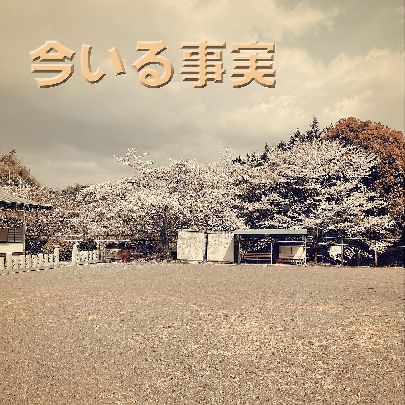 澤山 晋太郎