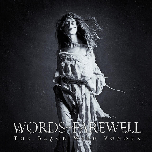 Релиз The Black Wild Yonder