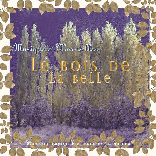 Релиз Musique et merveilles: le bois de la belle