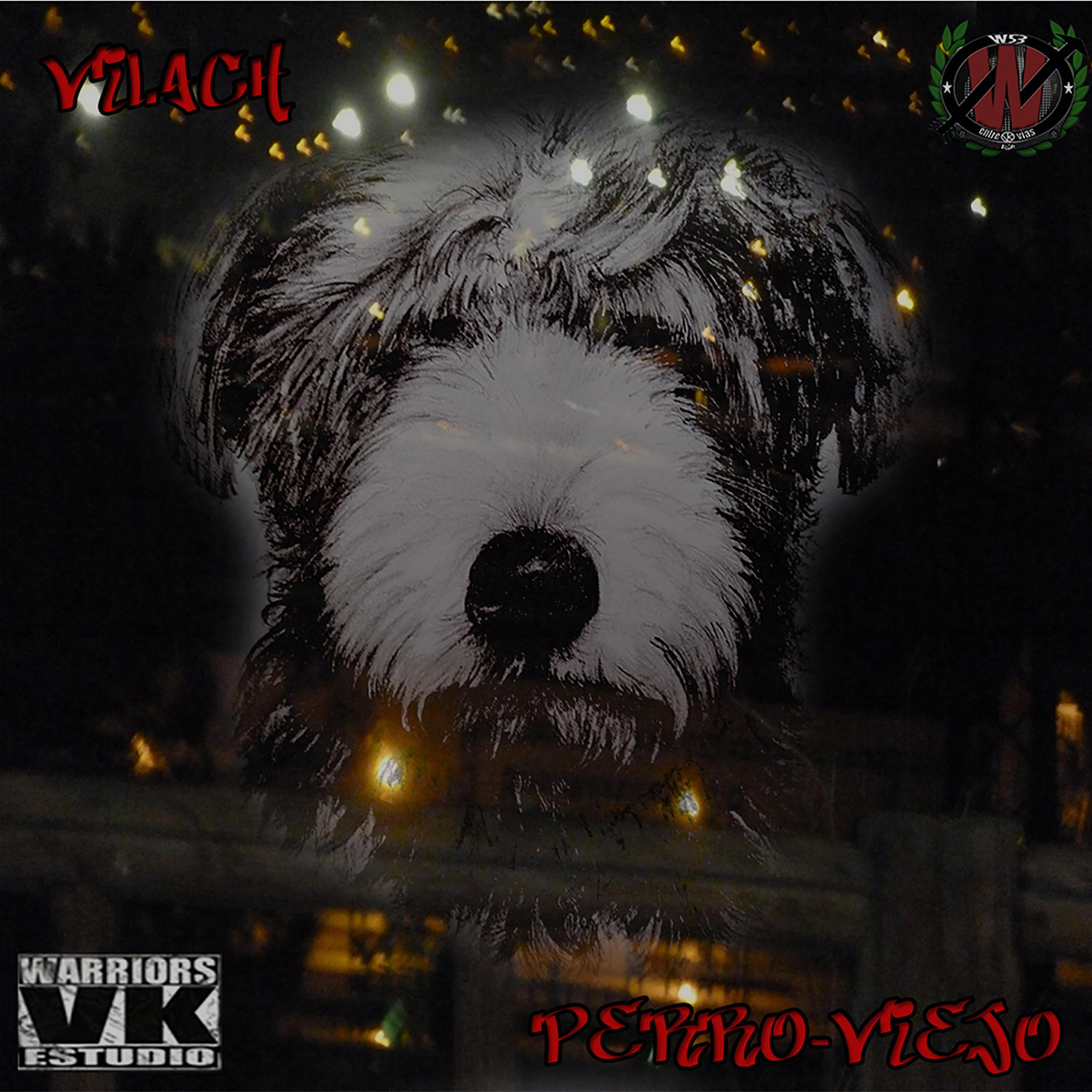 Релиз Perro Viejo