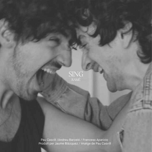 Релиз Sing