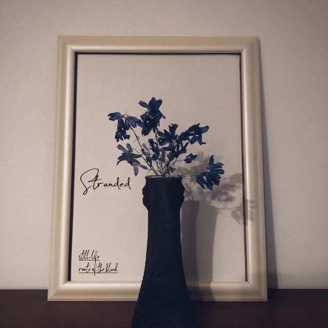 Релиз Still-life