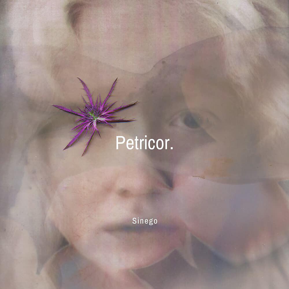 Релиз Petricor