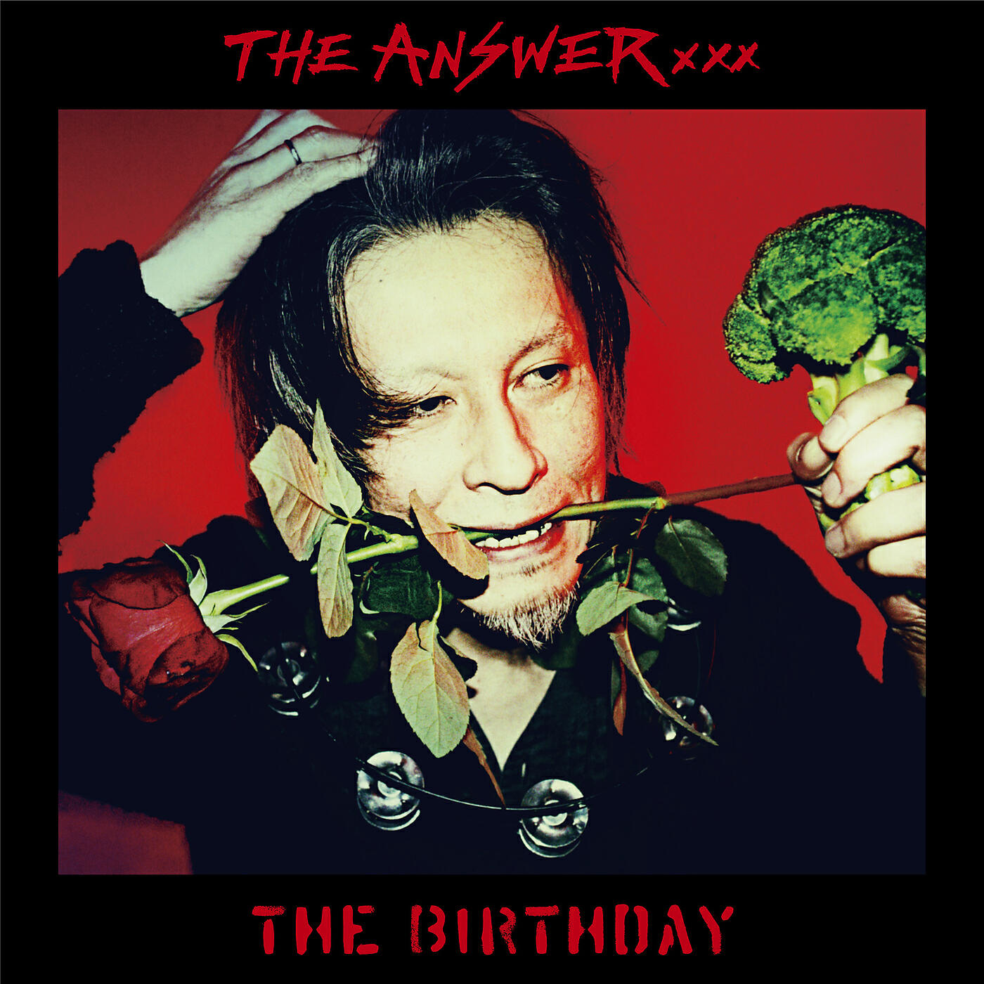 Релиз The Answer