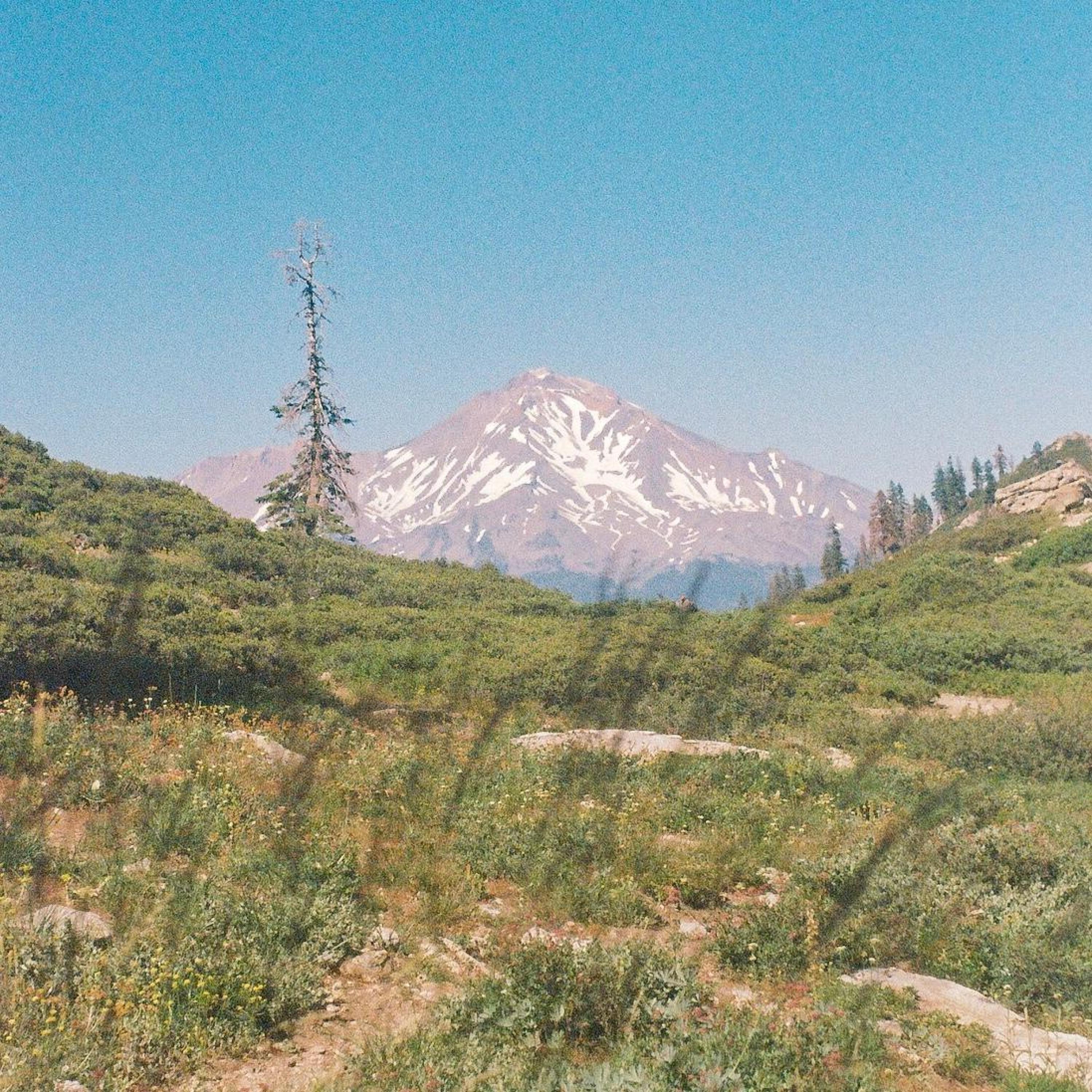 Релиз shasta