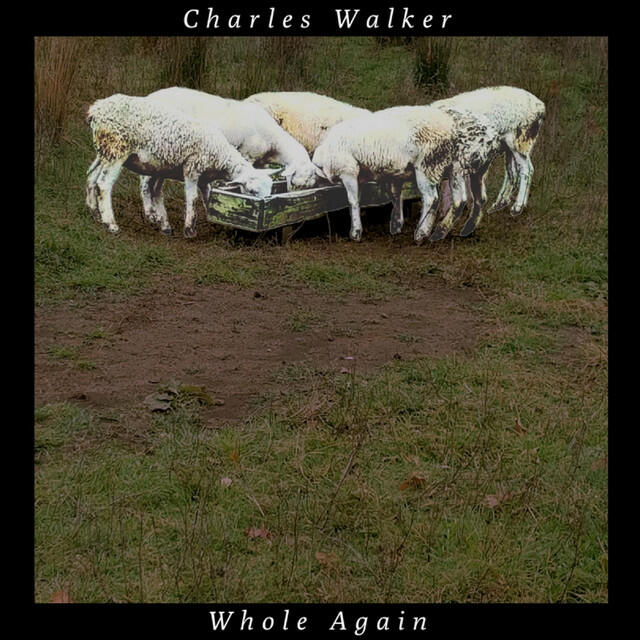 Релиз Whole Again