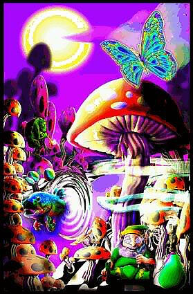 Cosmic Station