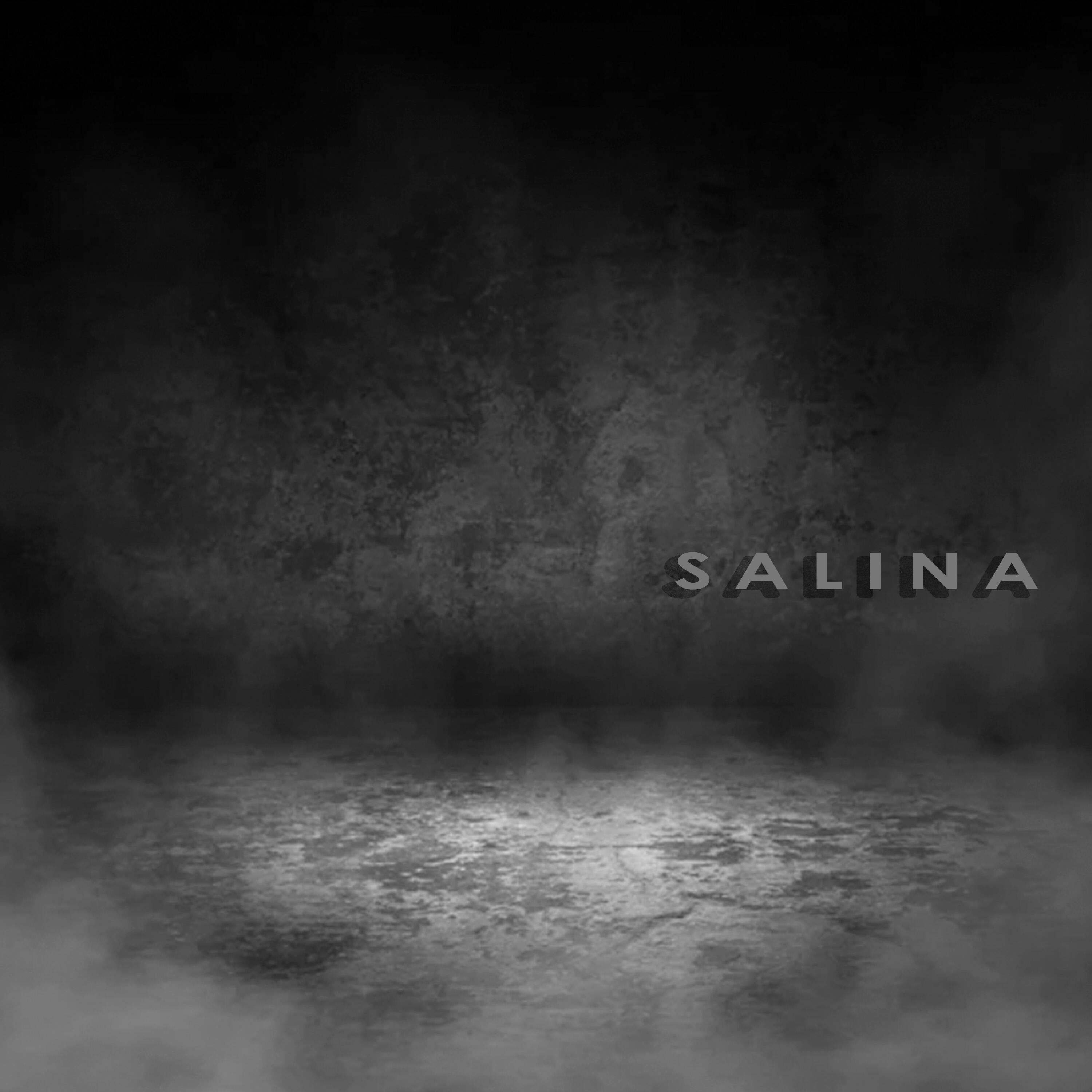 Релиз Salina