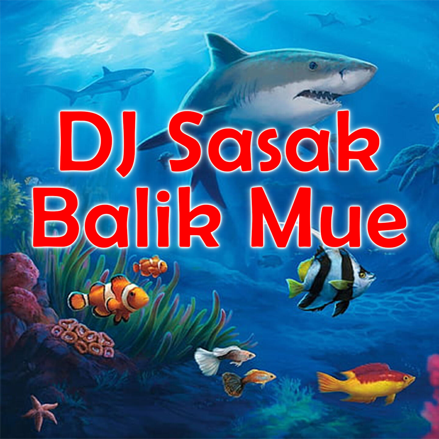Релиз DJ Sasak Balik Mue