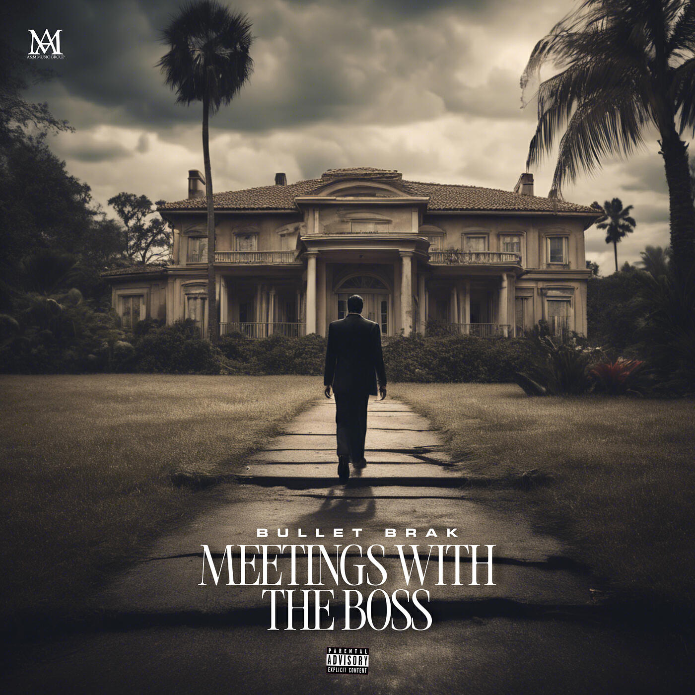 Релиз Meetings With the Boss