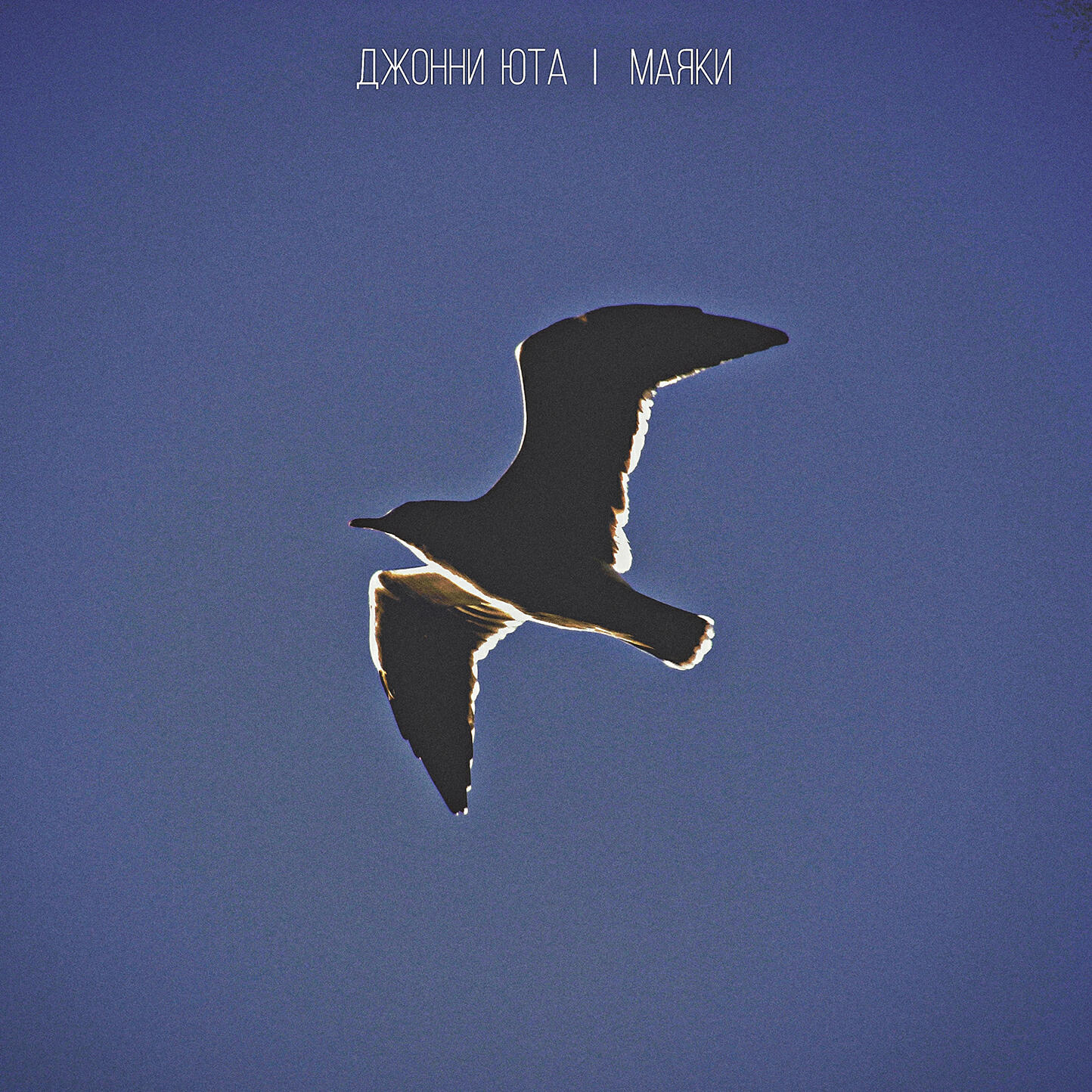 Релиз Маяки