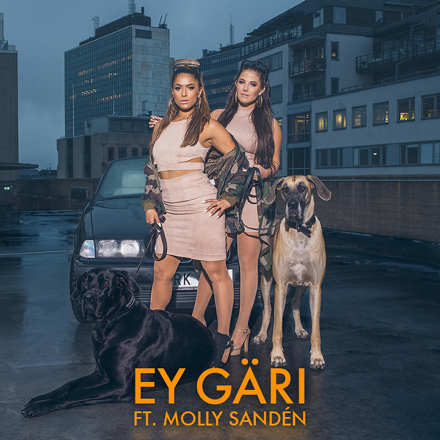 Релиз Ey Gäri