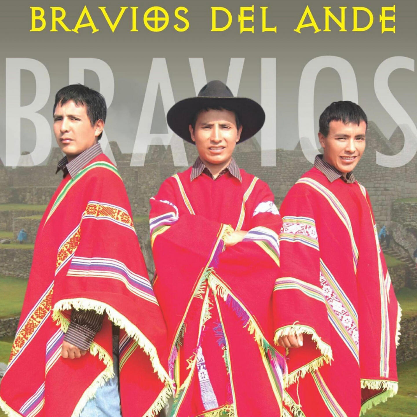 Los Bravíos Del Ande
