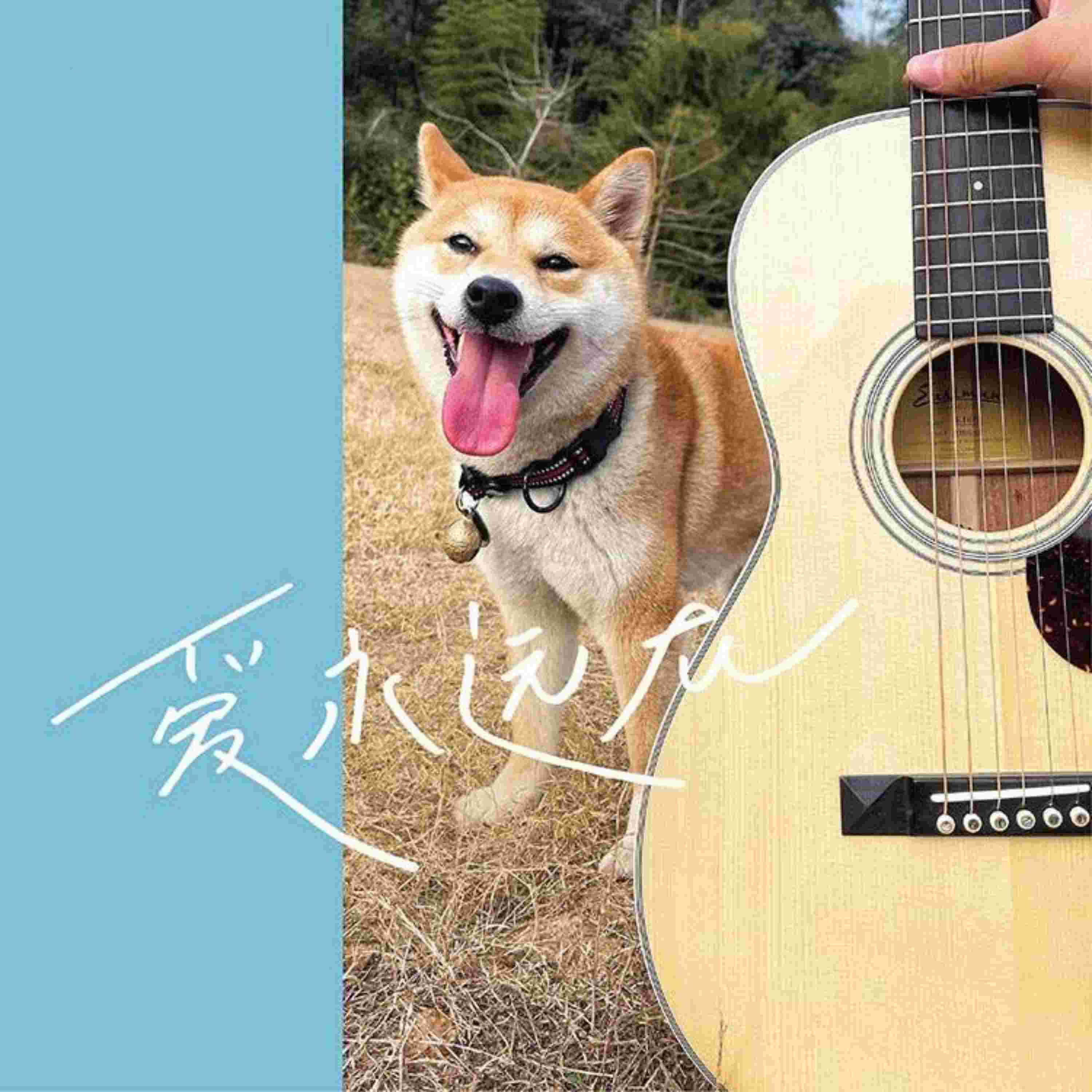 Релиз 爱永远在