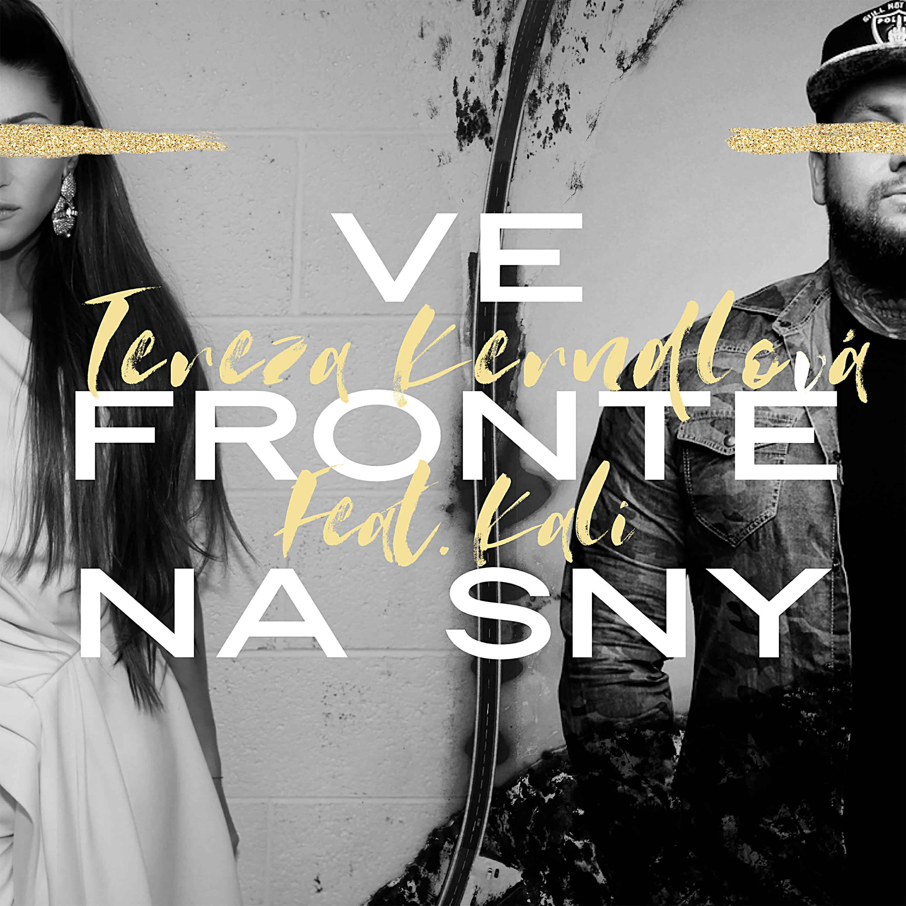 Постер альбома Ve frontě na sny (feat. Kali)