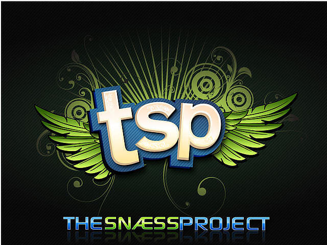 The Snæss Project