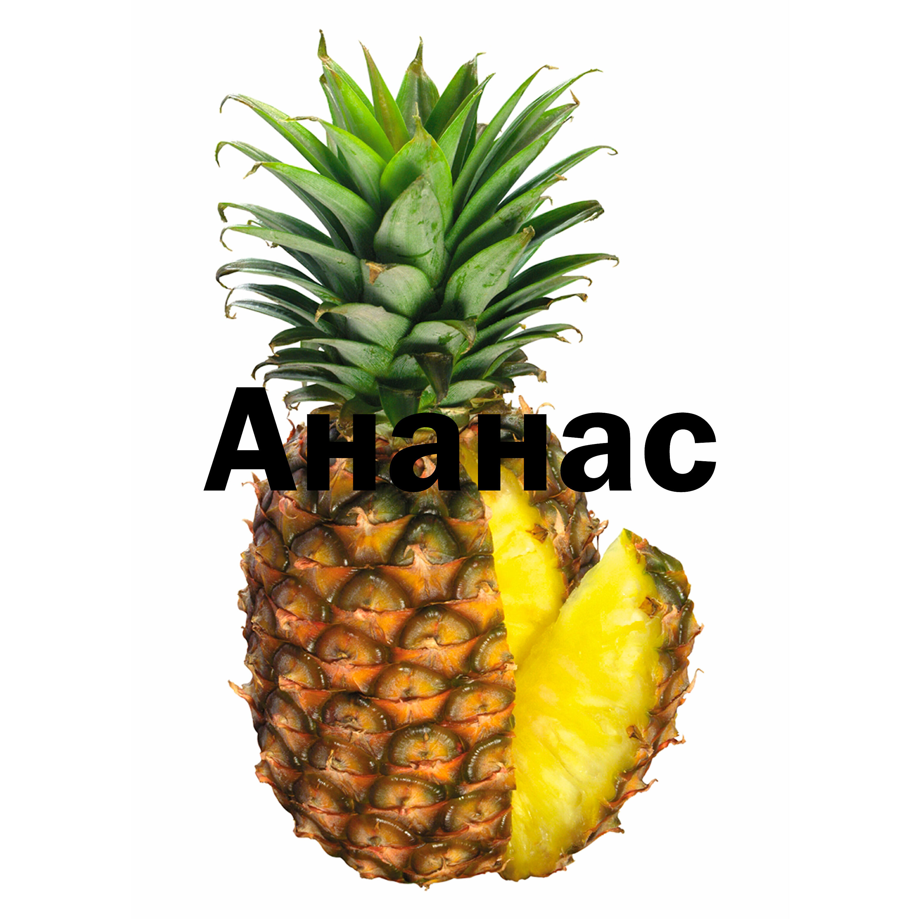 Обложка артиста