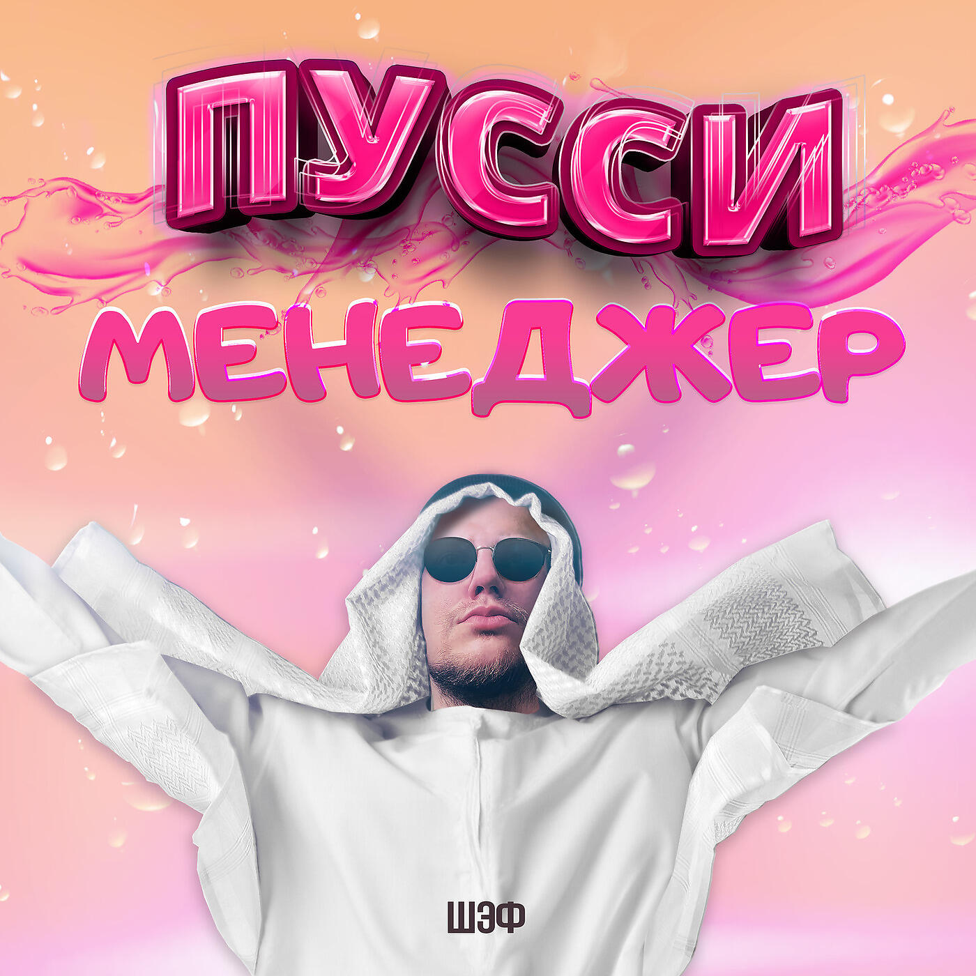 Постер альбома Пусси Менеджер