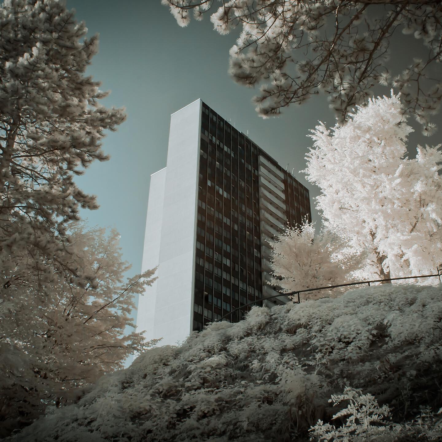 Релиз Reminiscence