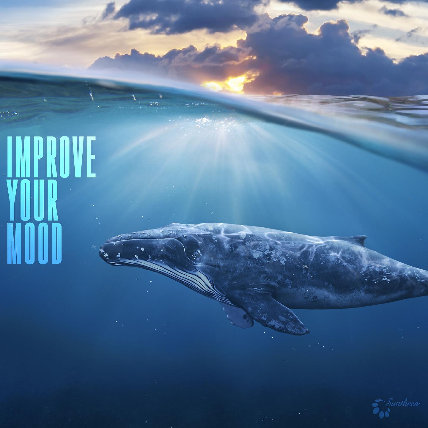 Релиз Improve Your Mood