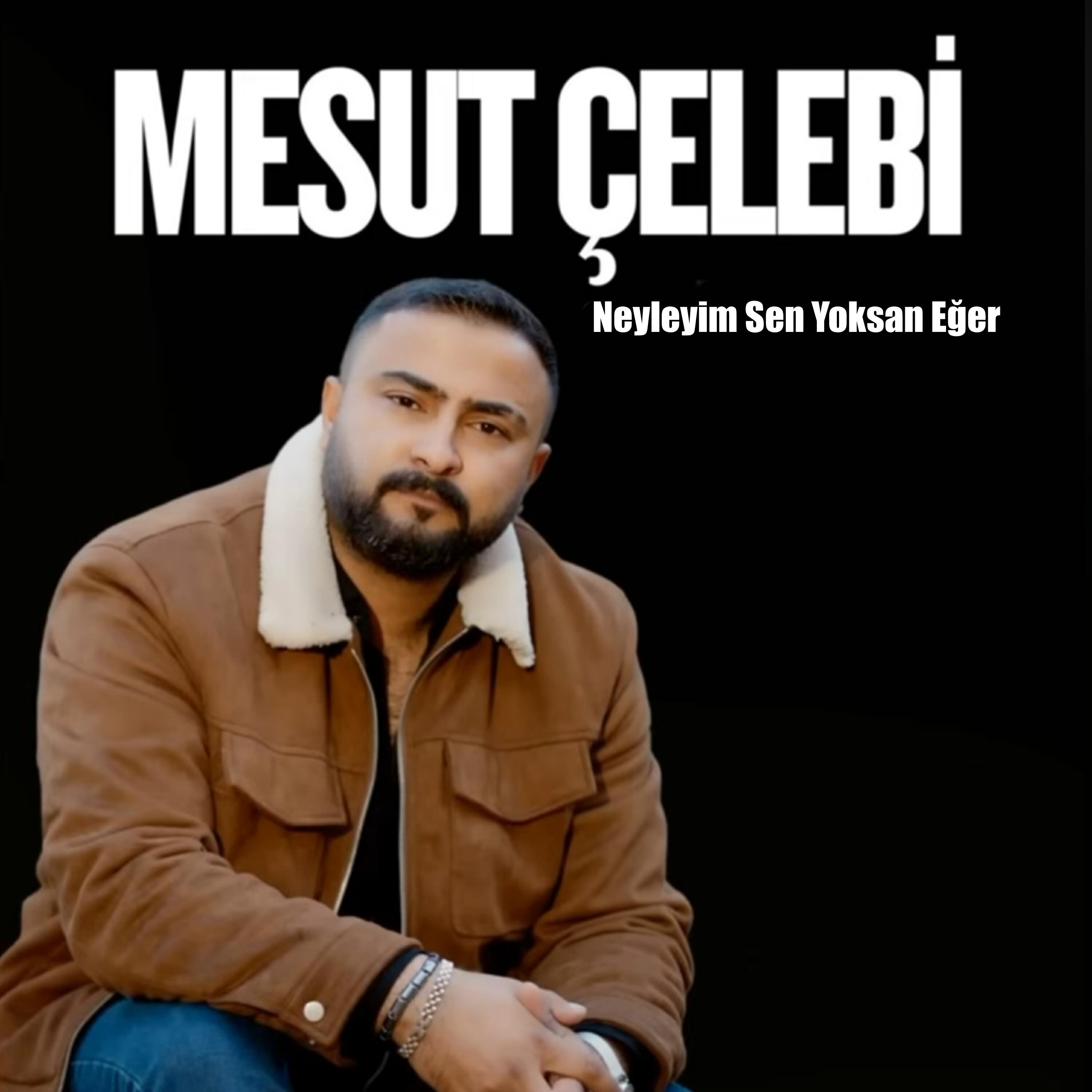 Релиз Neyleyim Sen Yoksan Eğer