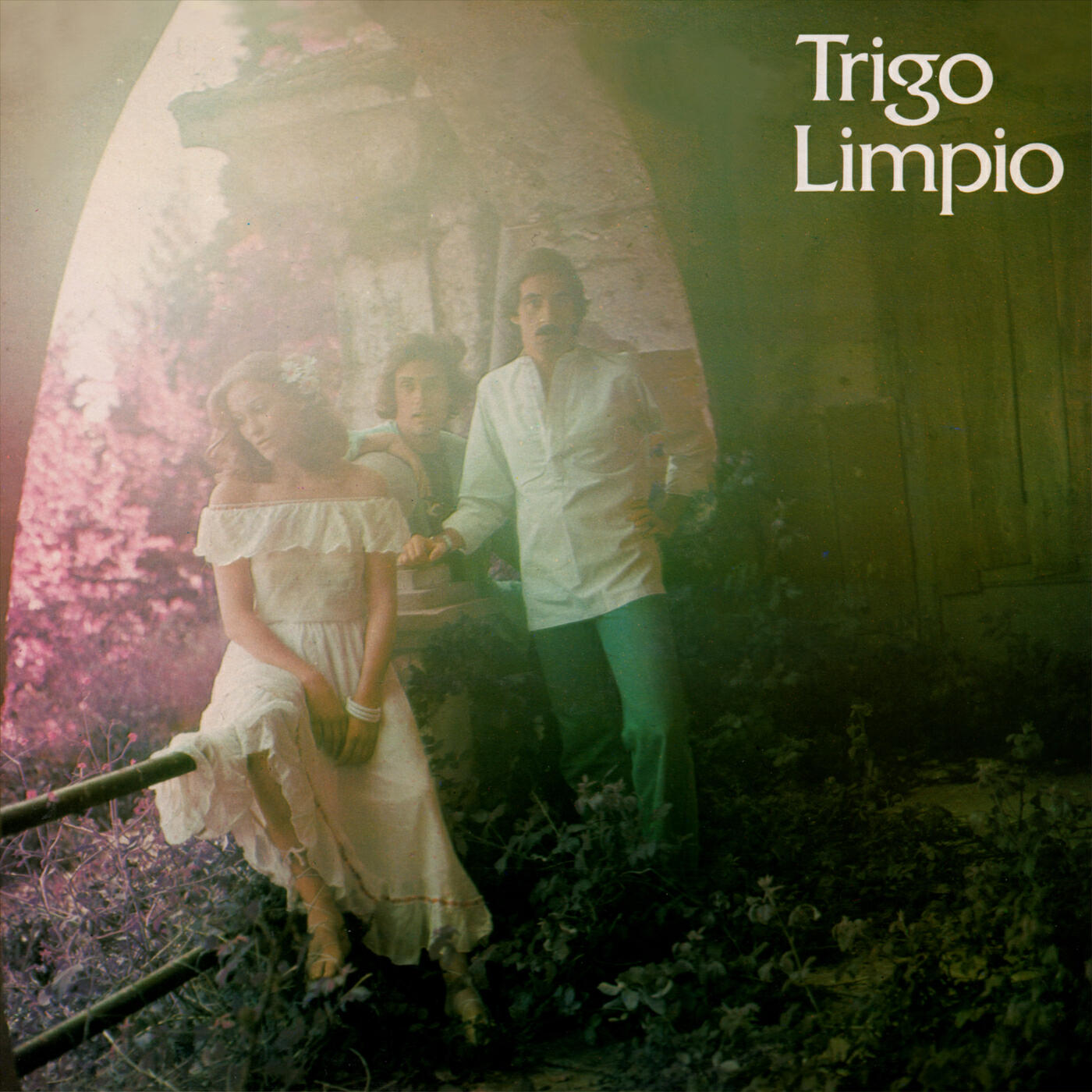 Релиз Trigo Limpio