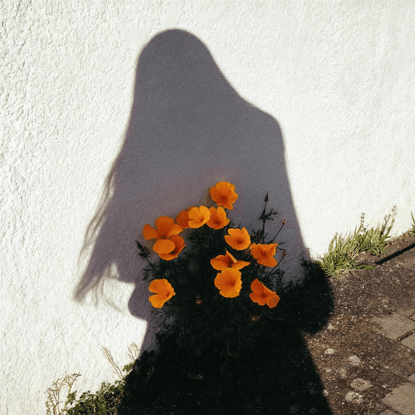 Релиз Vertebrae