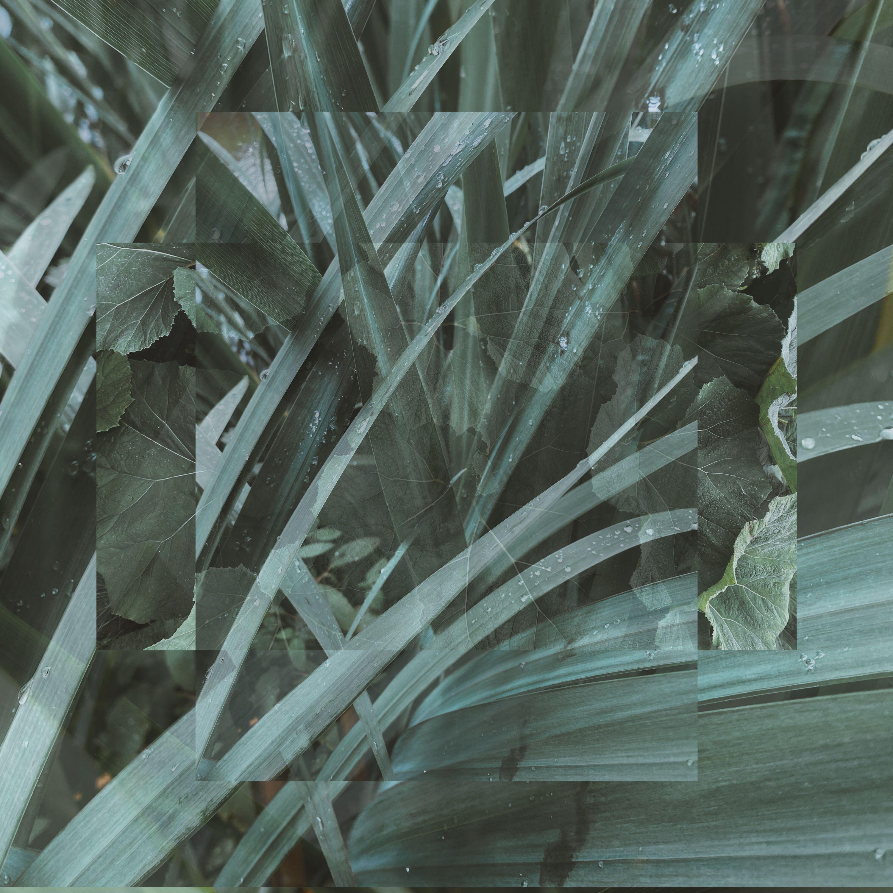 Релиз Petrichor