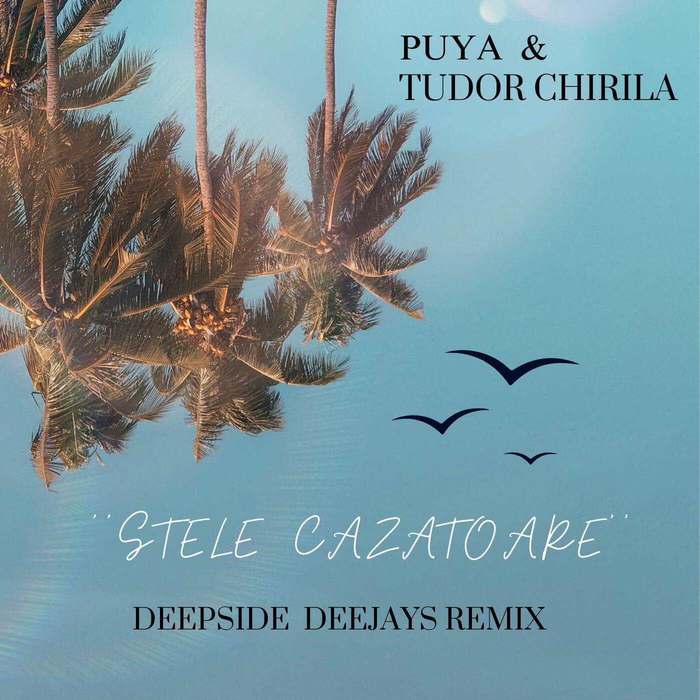 Релиз Stele cazatoare