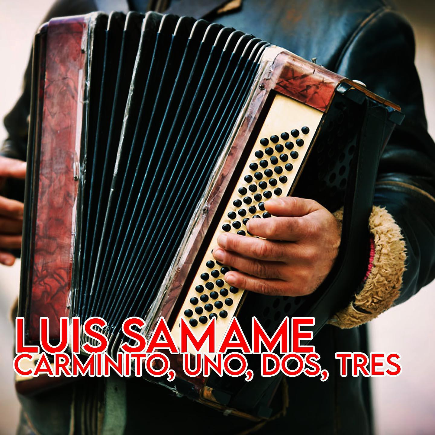 Luis Samamé
