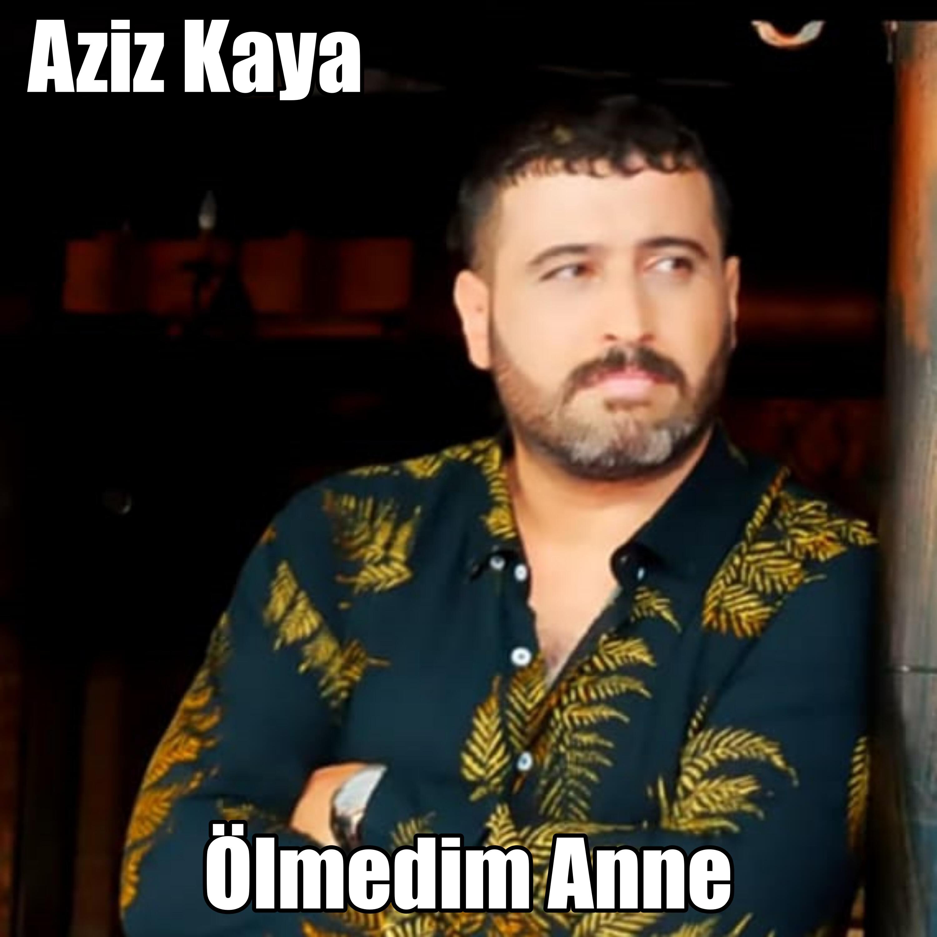 Релиз Ölmedim Anne