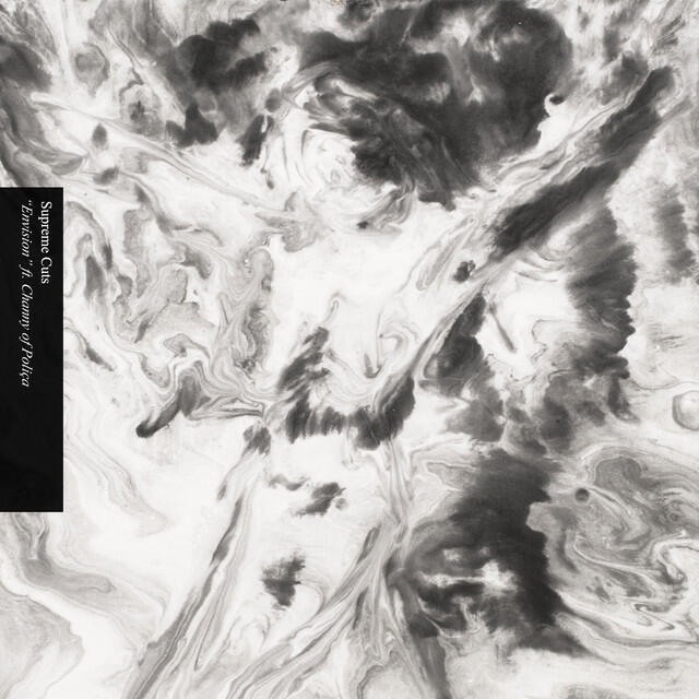 Релиз Envision (feat Channy of POLIÇA)