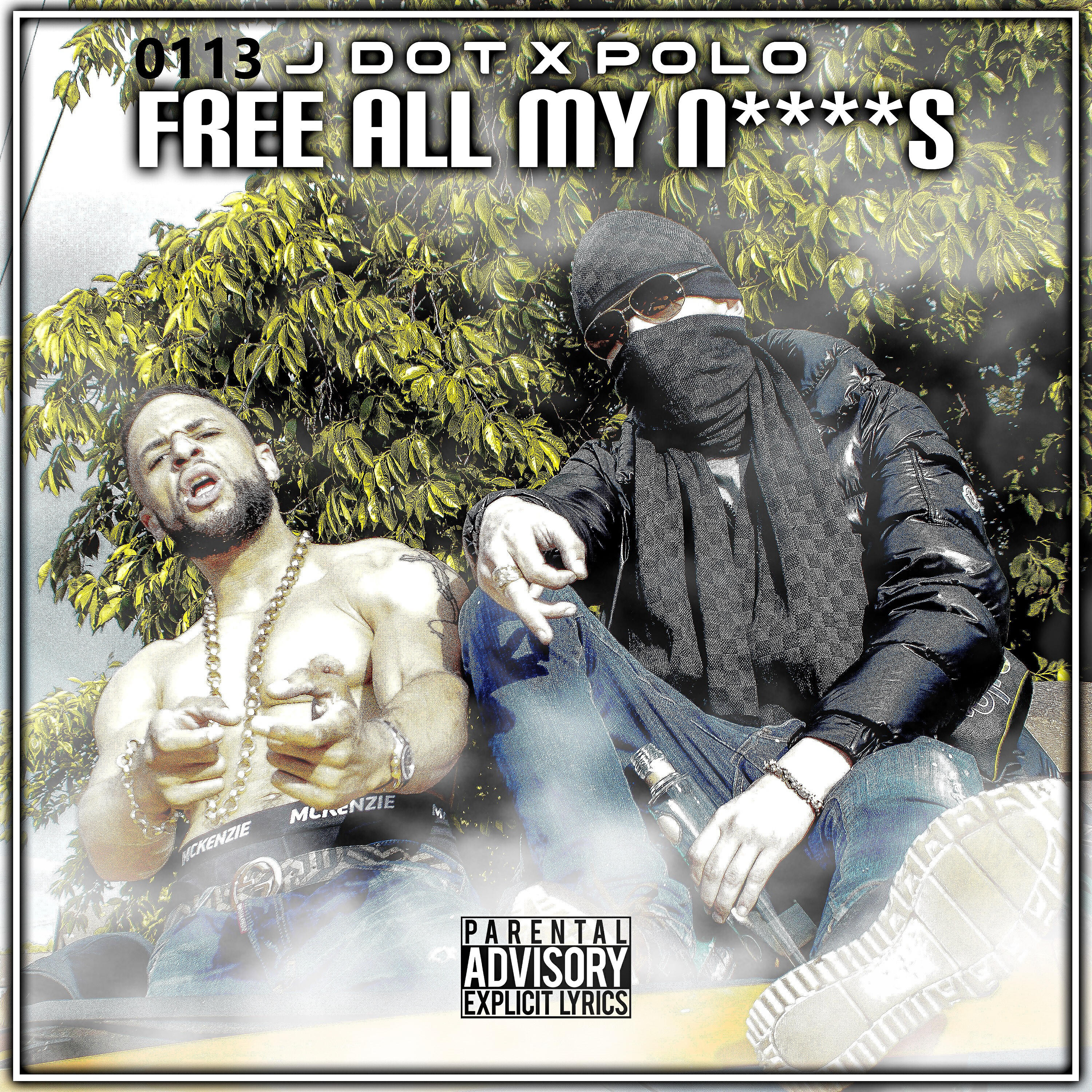 Релиз Free All My Niggas