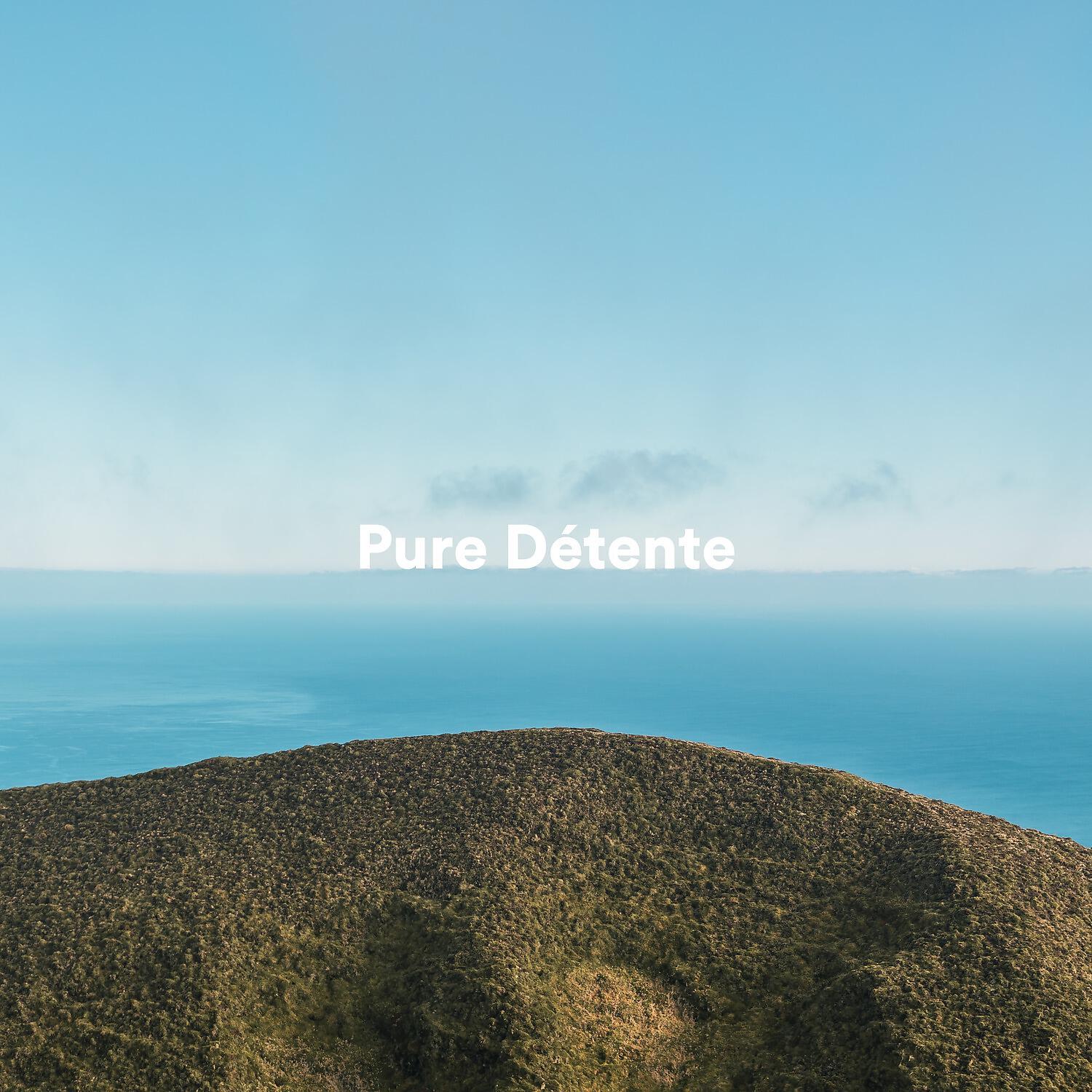 Релиз Pure détente