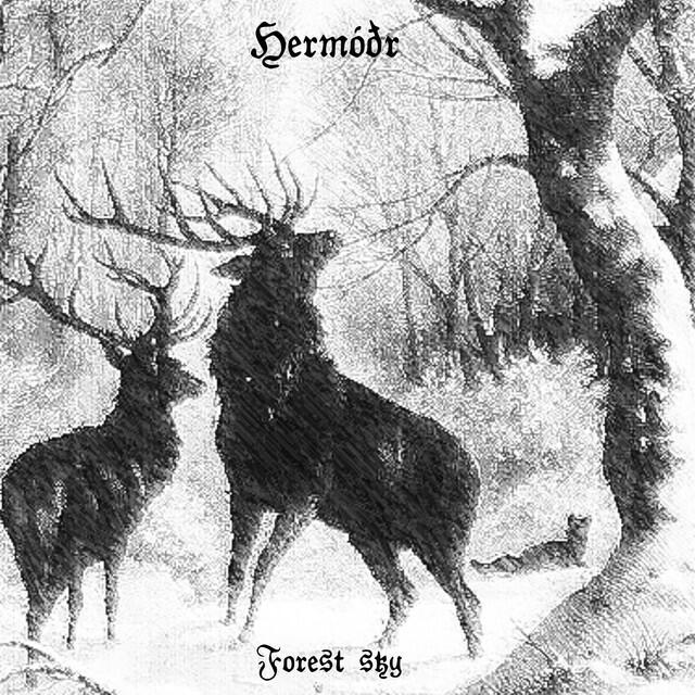 Релиз Forest Sky