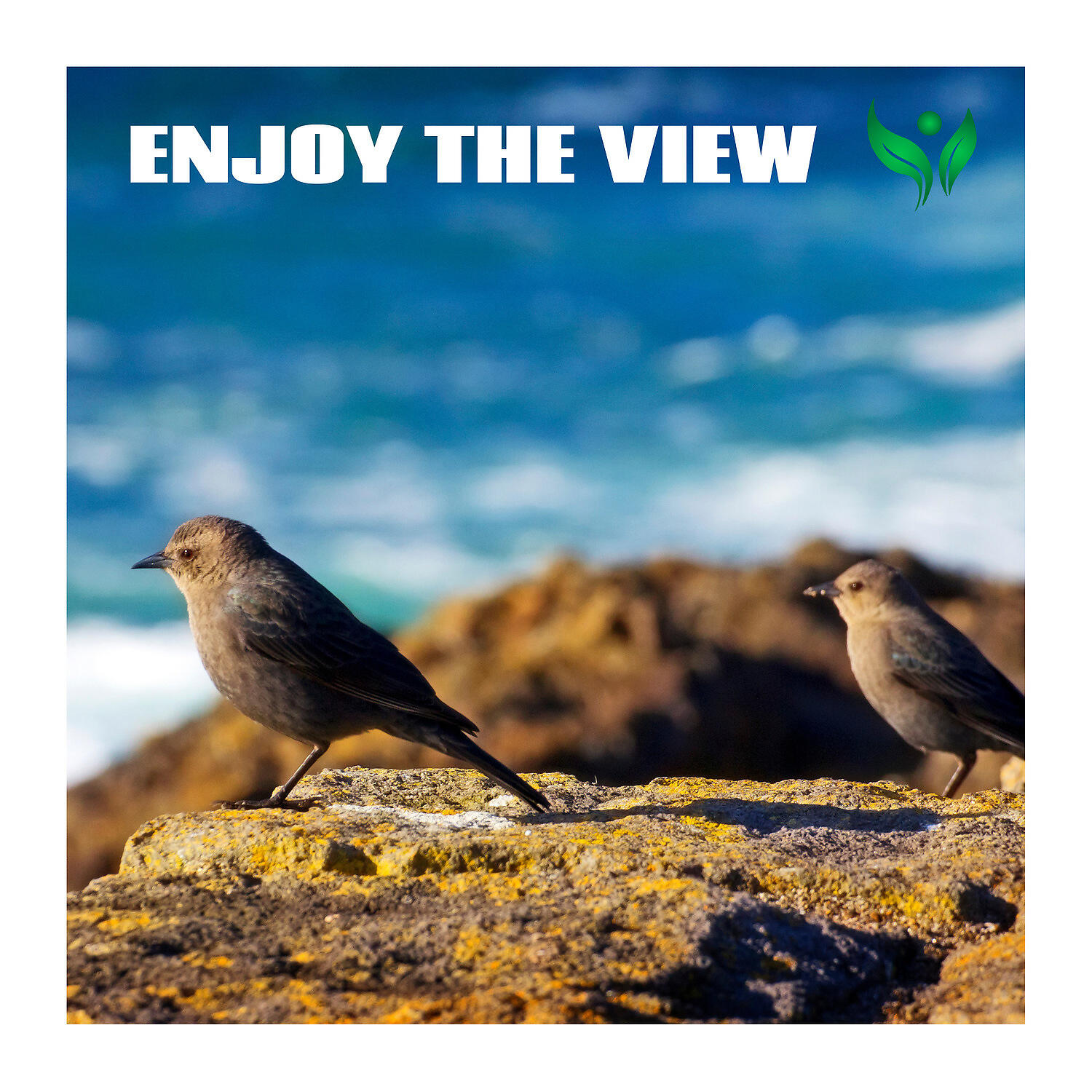 Постер альбома Enjoy the View