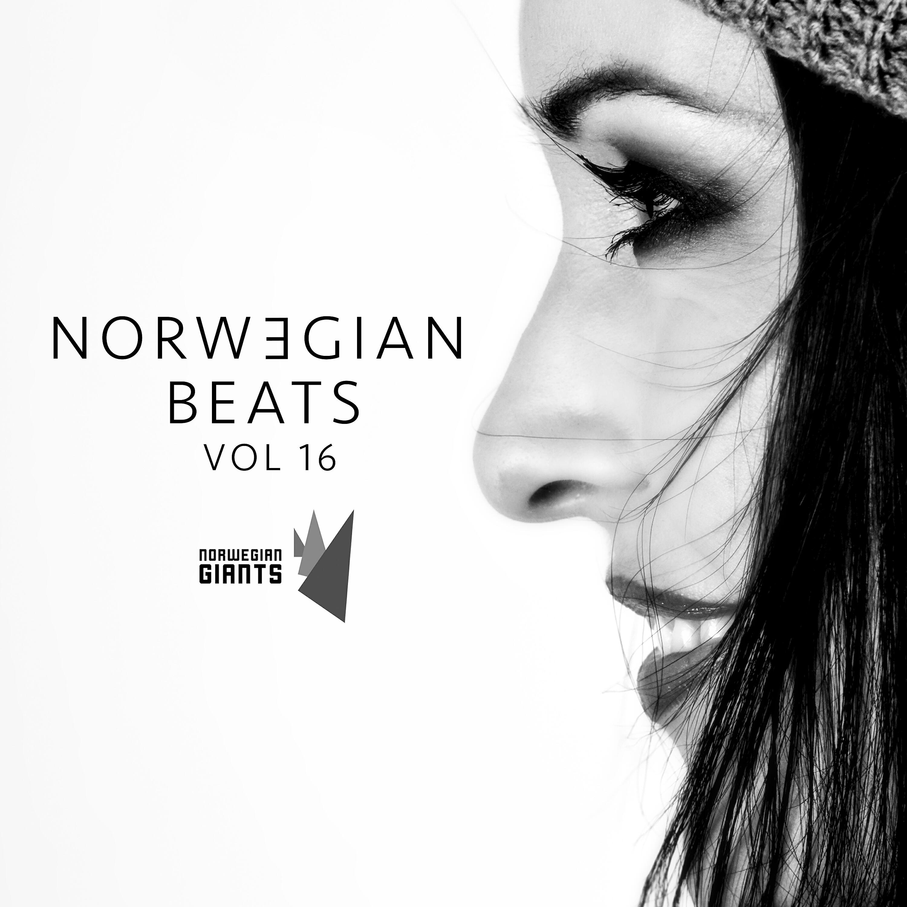 Релиз Norwegian Beats, Vol. 16