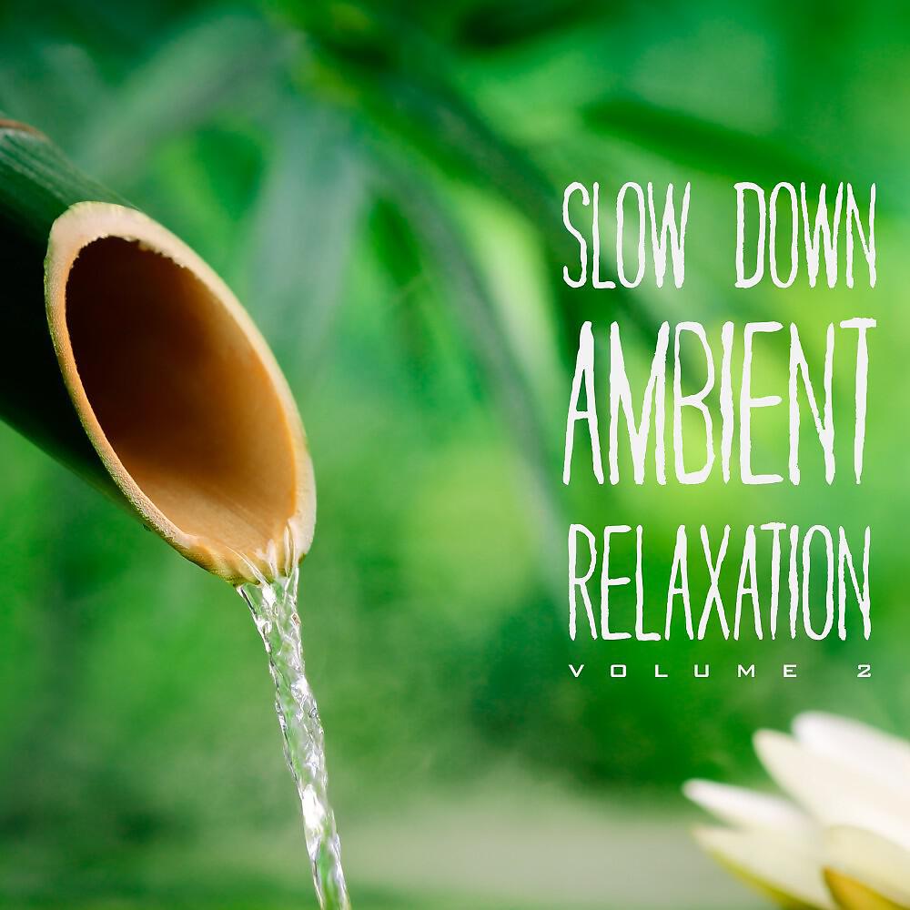 Релиз Slow Down Ambient Relaxation, Vol. 2