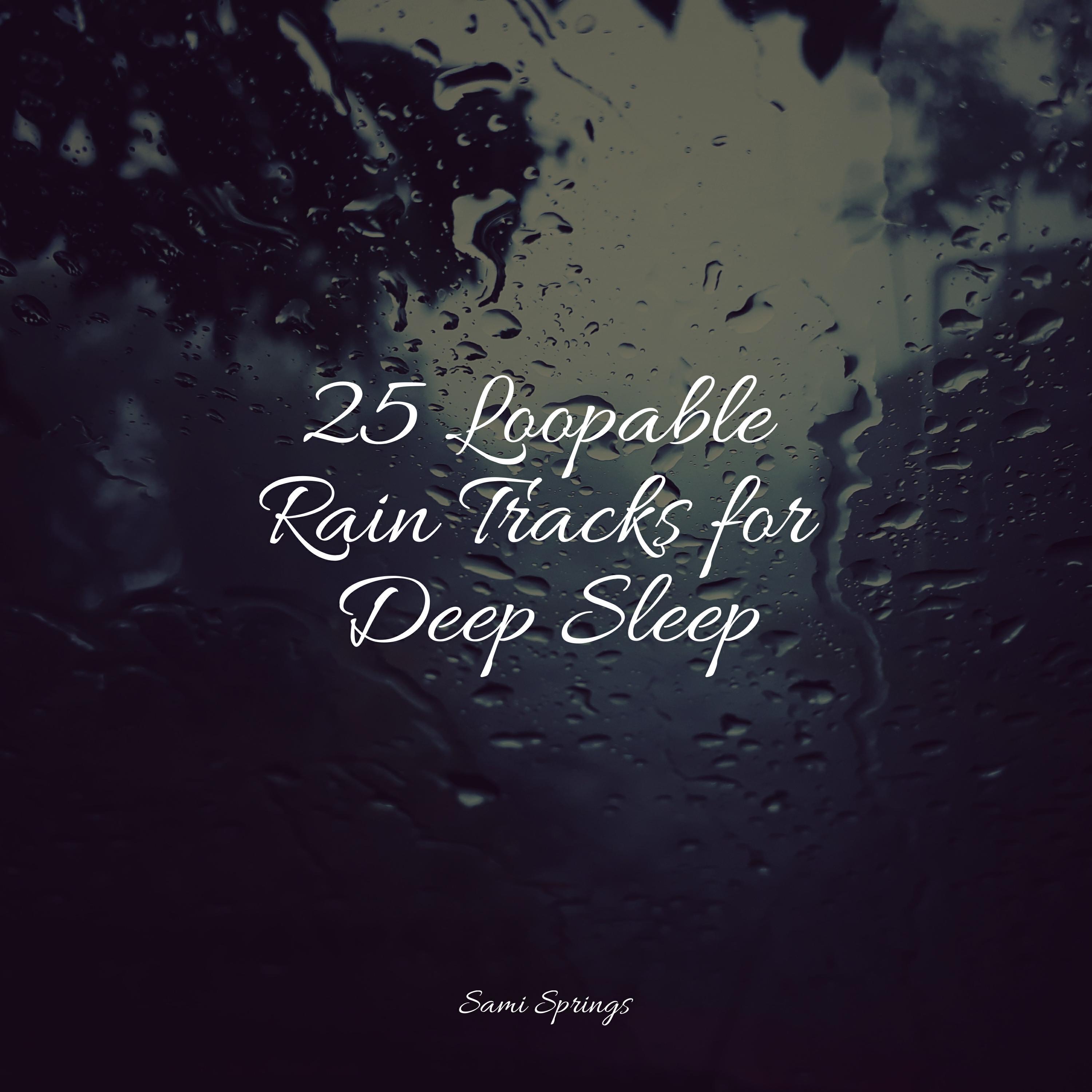 Релиз 25 Loopable Rain Tracks for Deep Sleep