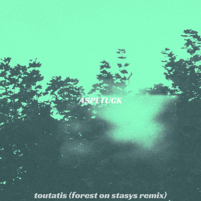 Forest on Stasys