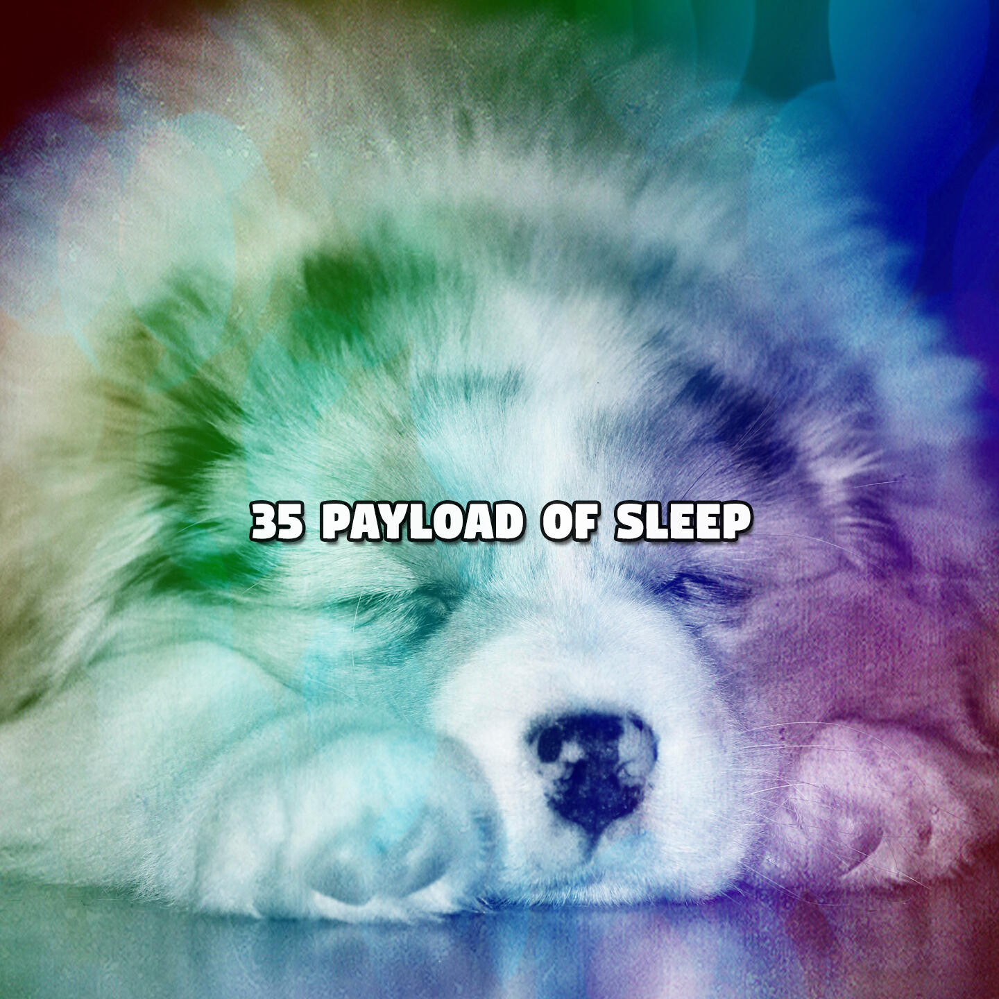 Релиз 35 Payload Of Sleep