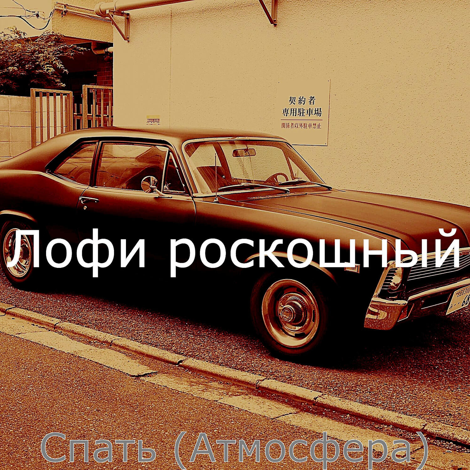Лофи роскошный