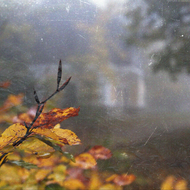 Релиз It Was Only an Autumn Tale