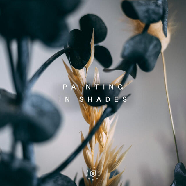 Релиз Painting In Shades