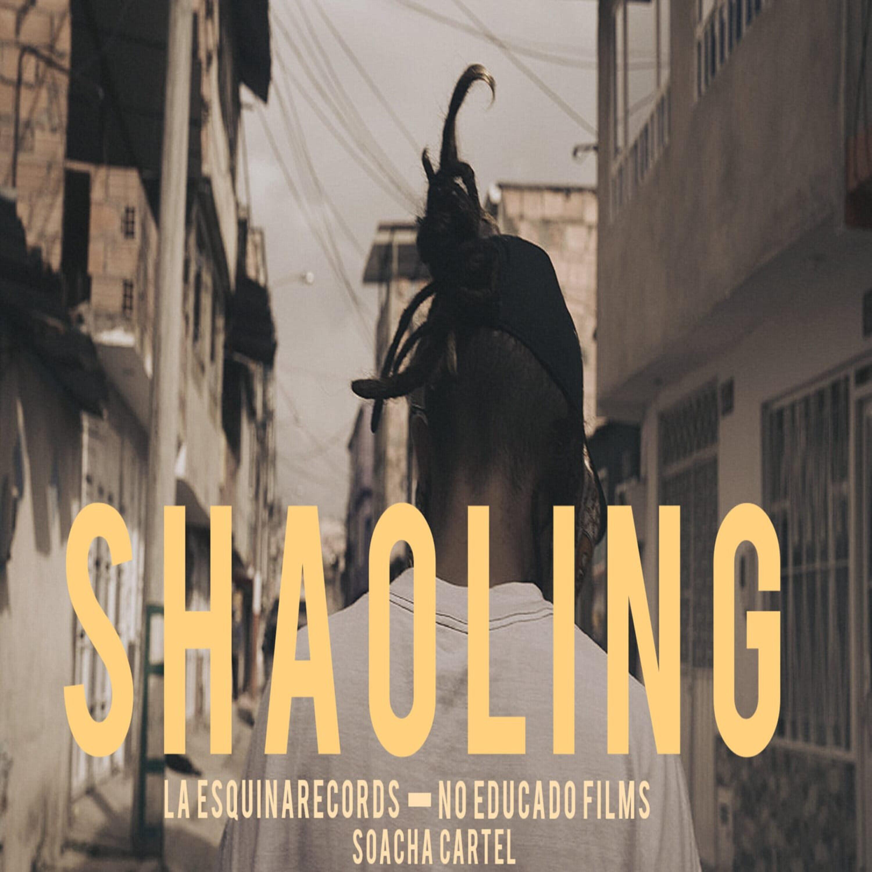 Релиз Shaoling
